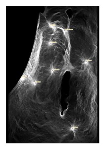Circuit theory, connectivity, and figurines?